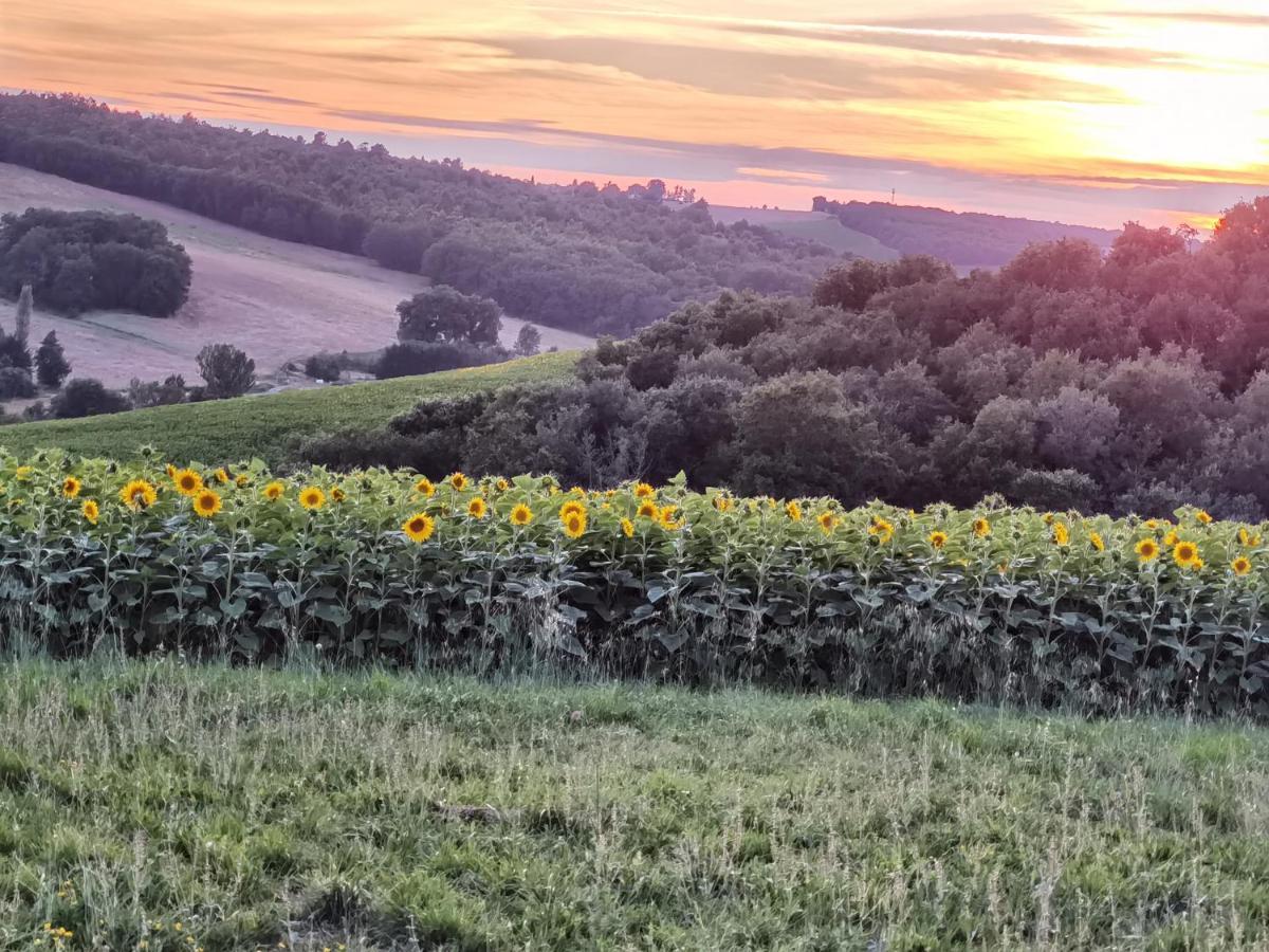 Les Hauts De Grazac, Chambres Et Tables D'Hotes Grazac  Exteriér fotografie