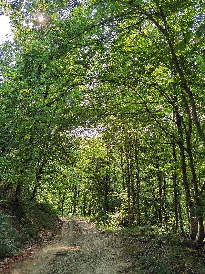 Les Hauts De Grazac, Chambres Et Tables D'Hotes Grazac  Exteriér fotografie